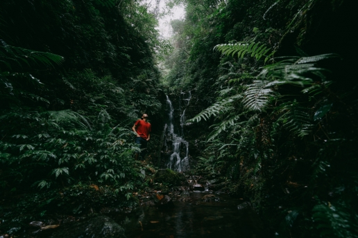 Nameless waterfall in jungle of Hachijo-jima, Tokyo, Japan
