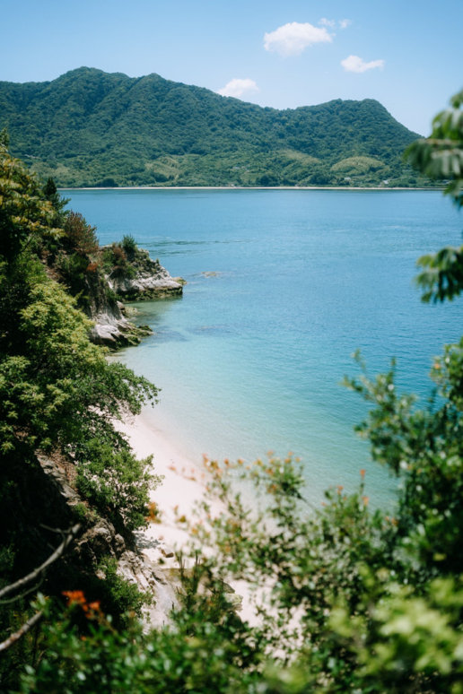Rabbit Island, Okunoshima of Hiroshima, Japan