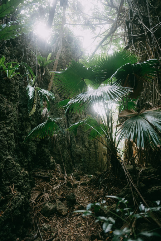 Minami Daito Island, Okinawa, Japan