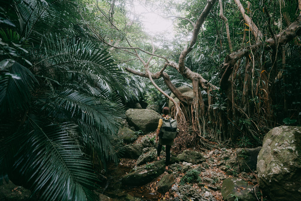 Jungle hiking on Yanaguni Island, Okinawa, Japan