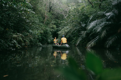 Jungle kayaking, Ishigaki Island, Okinawa, Japan