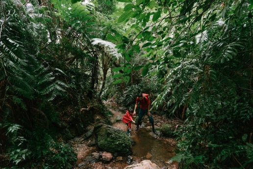 Okinawa winter jungle hiking, Japan