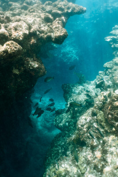 Interesting undewater landscape just in front of the beach, Senma Coast, Tokunoshima of Amamai Islands, Kagoshima, Japan