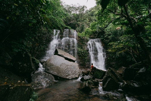 Iriomote jungle waterfall trekking, Japan