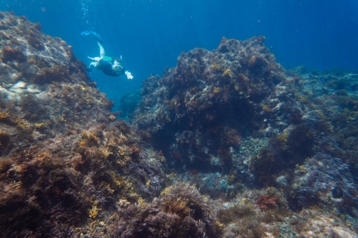 Snorkeling in clear water of Shikine-jima of Izu Seven Islands, Tokyo