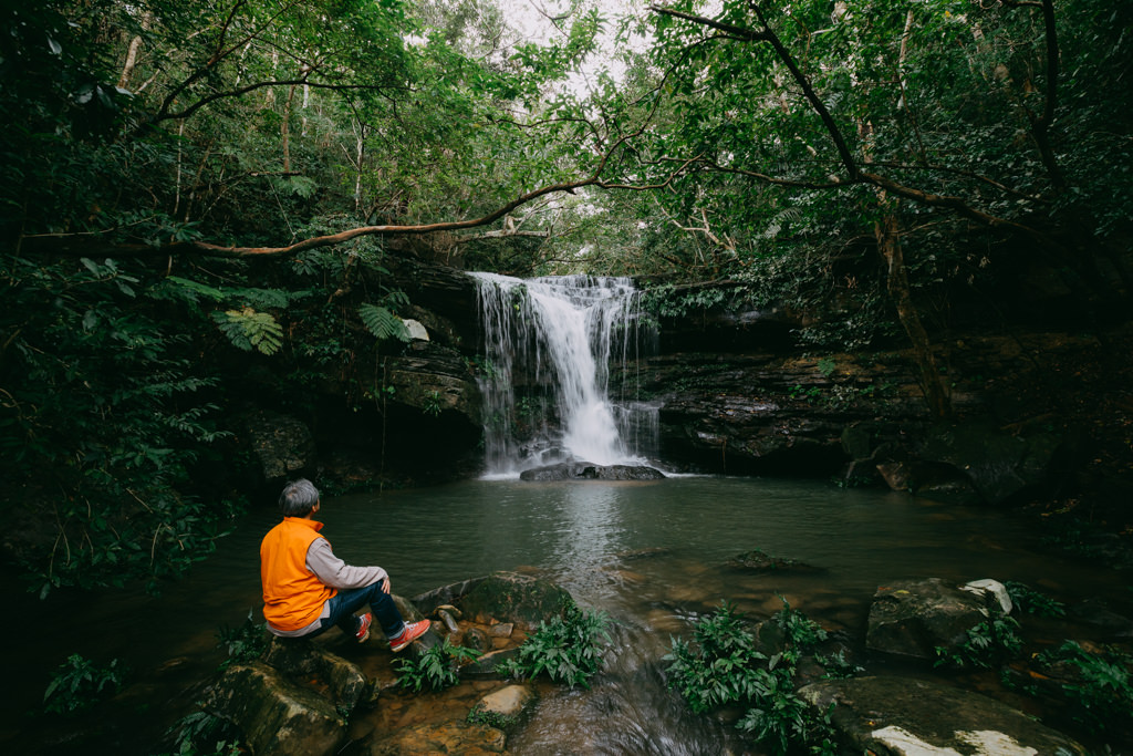 Jungle hiking in winter of Iriomote Island, Okinawa, Japan