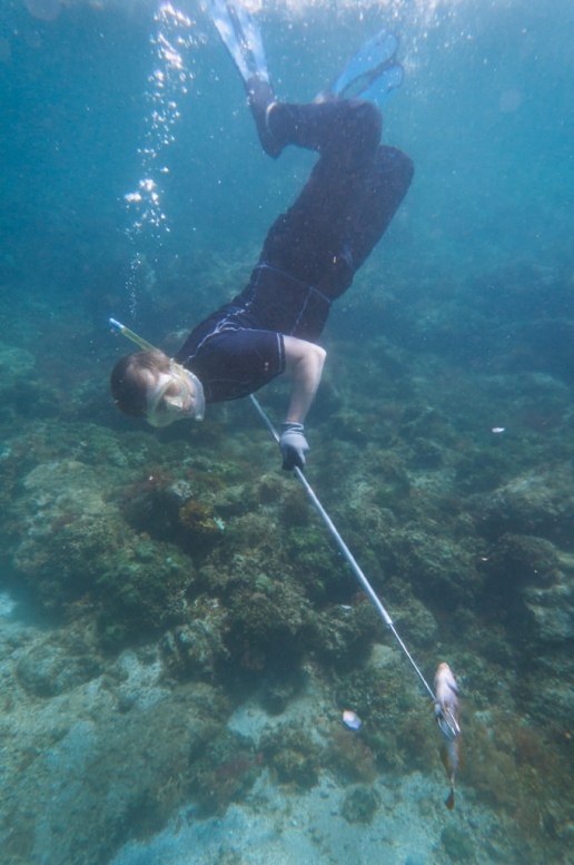Shikine-jima spearfishing, Tokyo