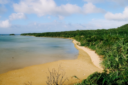 Untouched southern Japanese coastline, Iriomote Island, Okinawa, Japan