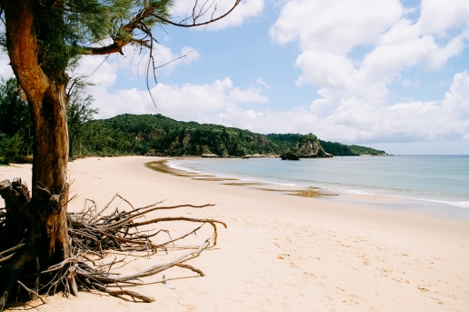 One of many wild beaches of Iriomote Island, Okinawa, Japan