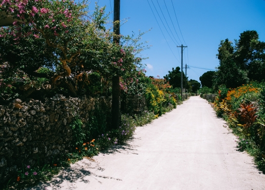 Ancient village street on Taketomi Island of the Yaeyama Islands, Okinawa, Japan