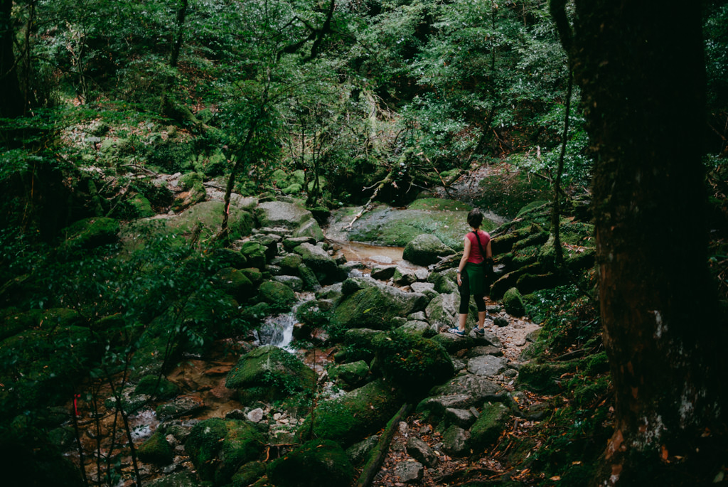 Hiking in Yakushima forest, Kagoshima, Japan