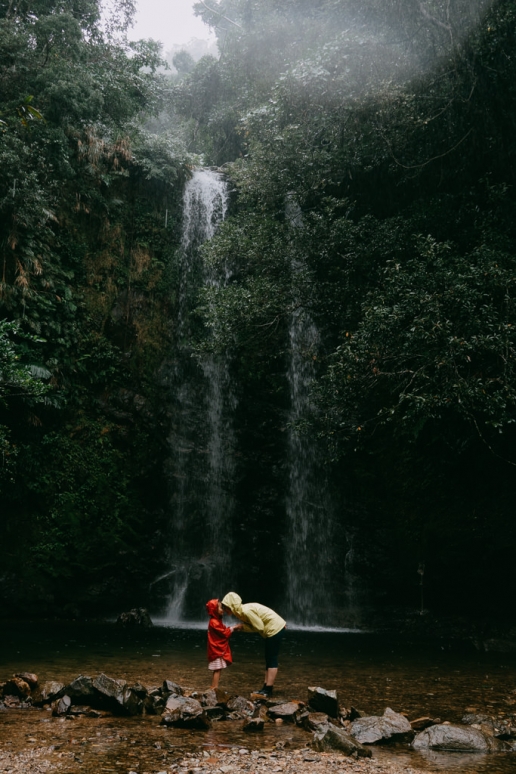 Okinawa jungle waterfall in rain, Japan