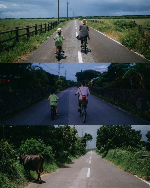 Kuroshima by bicycle, Yaeyama Islands, Okinawa, Japan