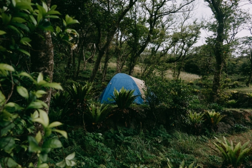 Aogashima campsite, Tokyo