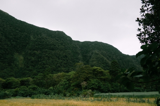 Lush green crater wall seen from inside, Aogashima Island, Tokyo
