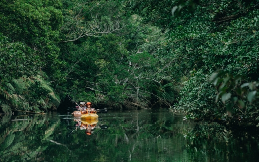 Tips for Iriomote Island of the Yaeyama Islands, Okinawa, Japan