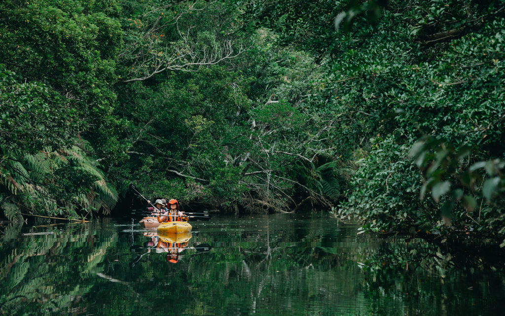 Jungle river kayaking, Iriomote Island, Okinawa, Japan