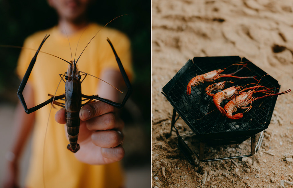 Freshwater prawns from jungle of Ishigaki Island, Okinawa, Japan