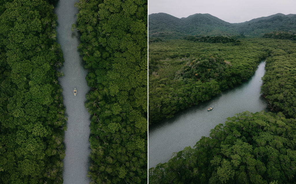 Mangrove kayaking on Ishigaki Island, Okinawa, Japan