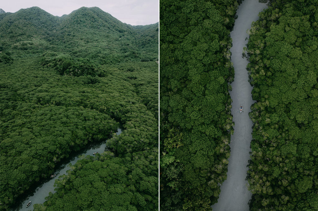 Mangrove kayaking on Ishigaki Island, Okinawa, Japan