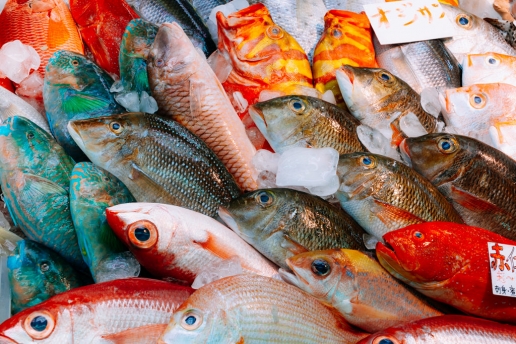 Tropical fish sold at Makishi Public Market, Okinawa