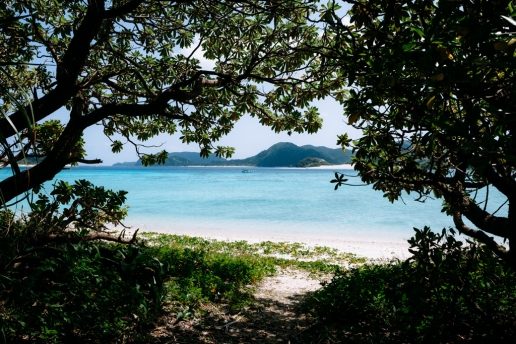 Scenic beach view from campsite, Zamami Island, Tropical Japan