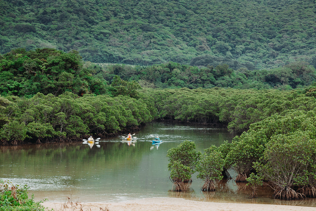 Mangrove kayaking, Ishigaki, Okinawa, Japan