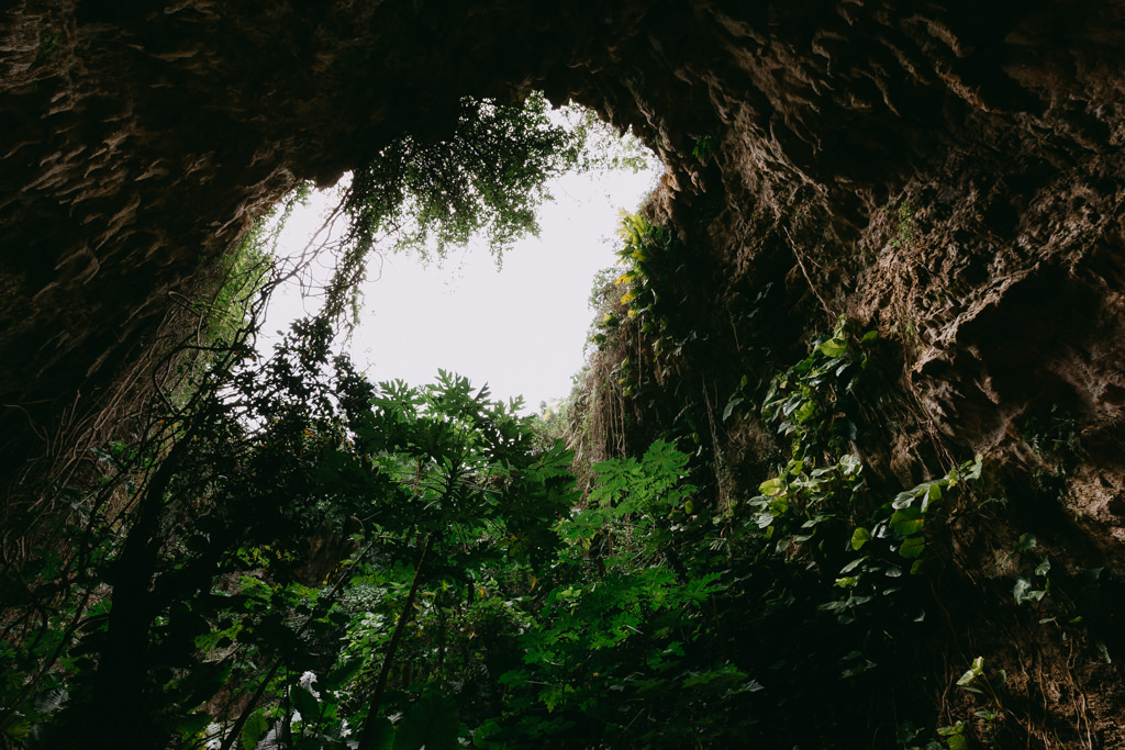 Limestone cave and wild papaya trees on Miyako-jima Island, Okinawa, Japan