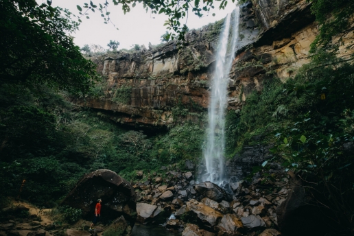 Iriomote Island Pinaisara Falls in tropical jungle, Okinawa, Japan