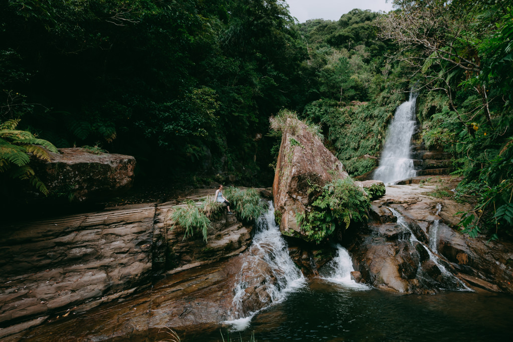 Lush waterfall deep inside a tropical rainforest of Iriomote, Japan