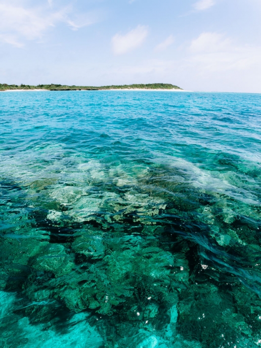 Pristine coral reef around Aragusuku Island of Yaeyama, Okinawa