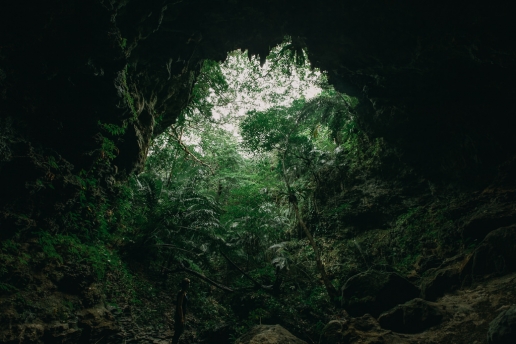 View of tropical rainforest from a limestone cave, Japan, Iriomote-jima of Yaeyama Islands