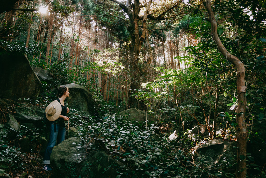 Hiking in Mikura-jima's evergreen rain forest, Tokyo, Japan