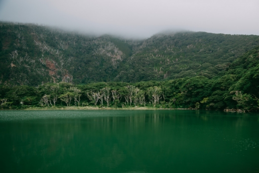 Miyake-jima crater lake with lush green forest, Tokyo