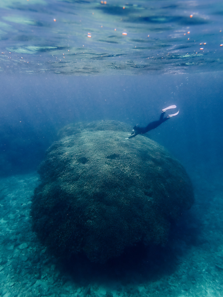 Snorkeling over massive coral in southern Japan, Yaeyama Islands, Okinawa