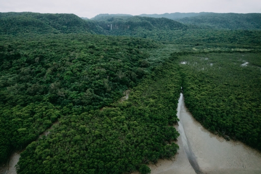 Aerial view of Japan's virgin jungle, Iriomote Island, Okinawa