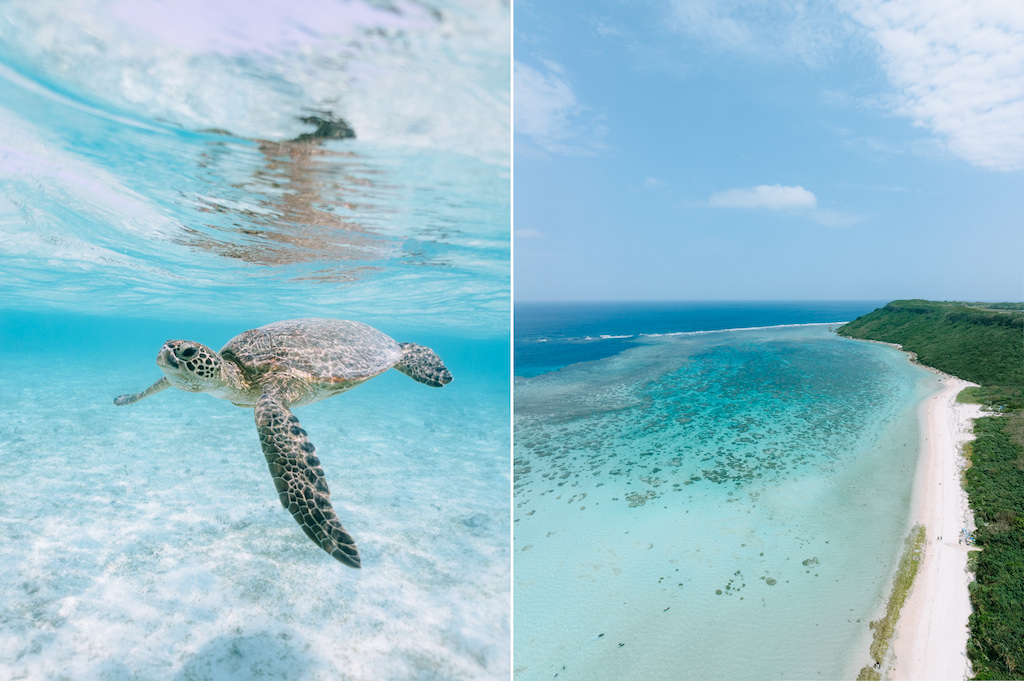 Off-the-beach snorkeling with sea turtles, Miyako Island, Okinawa, Japan