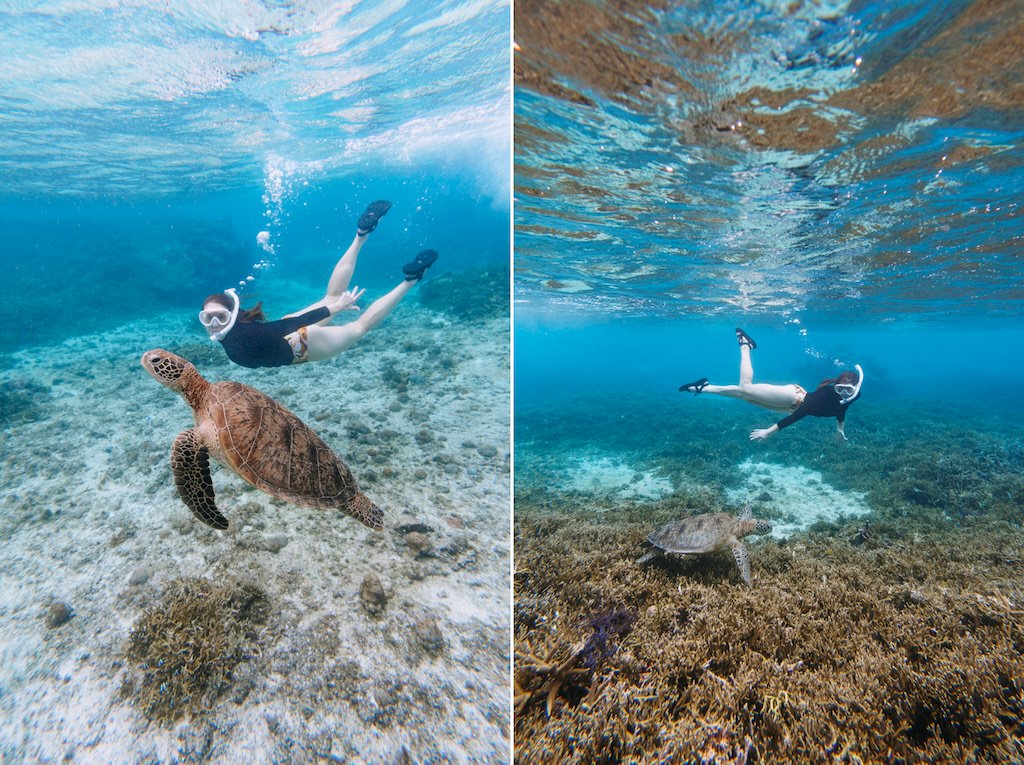 Snorkeling with sea turtles, Miyako Island, Okinawa, Japan