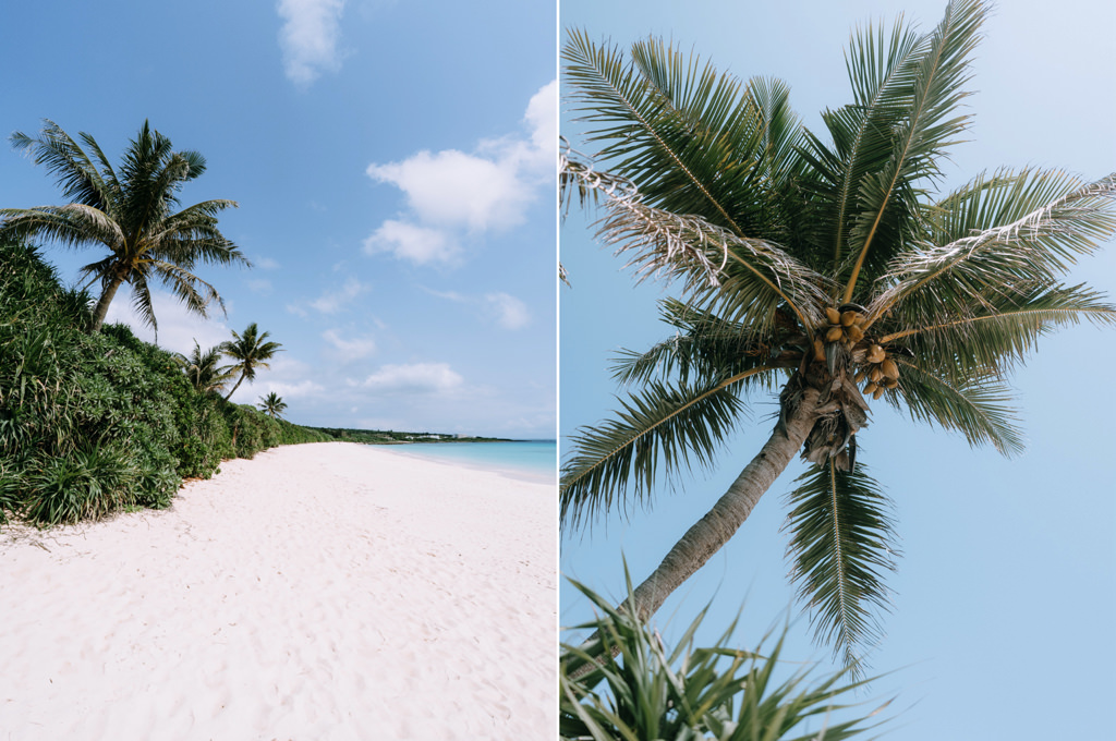 Japanese tropical beach with coconut palm trees, Irabu Island of Miyako Islands, Okinawa