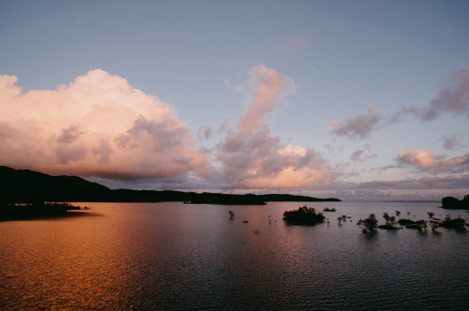 Iriomote mangrove swamp sunset, Okinawa, Japan