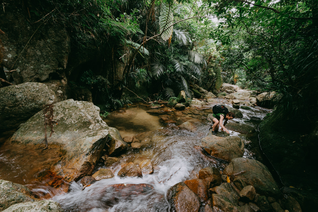 Jungle stream trekking on Ishigaki Island of the Yaeyama Islands, Okinawa, Japan