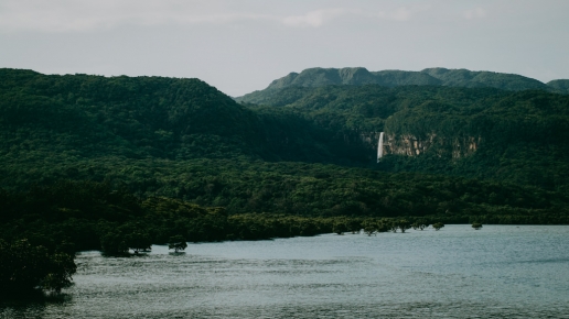 Pinaisara Falls and vast jungle of Iriomote Island, Okinawa, Japan
