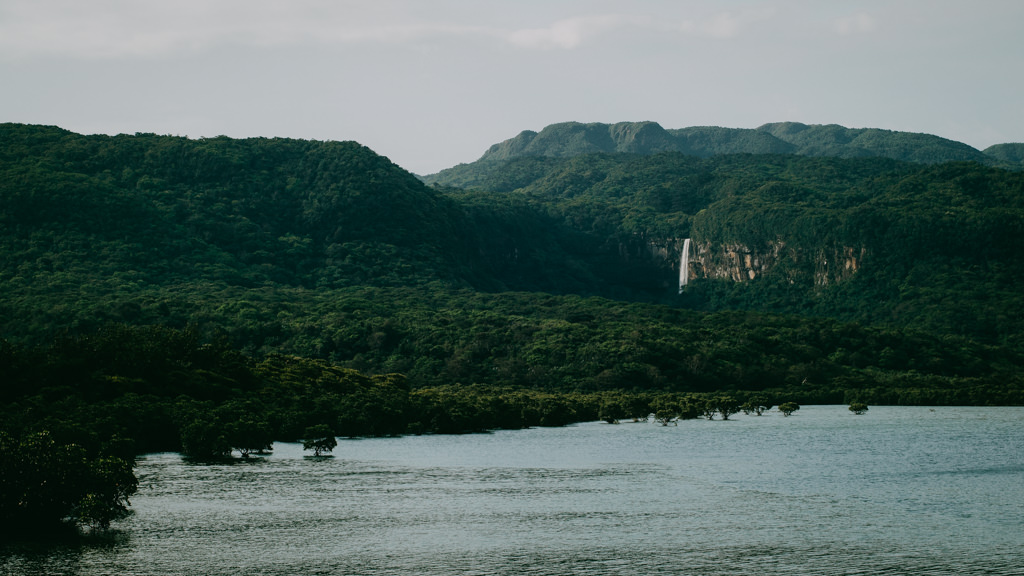 Pinaisaara Falls and vast jungle of Iriomote Island, Okinawa, Japan