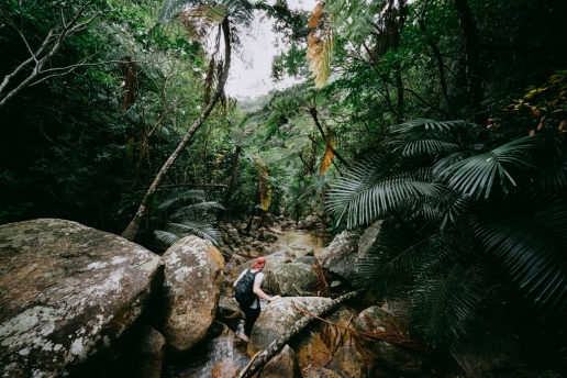Stream hiking in jungle on Ishigaki Island of the Yaeyama Islands, Okinawa, Japan