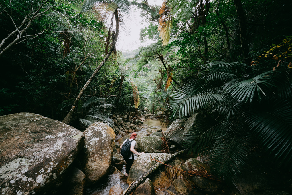 Stream hiking in jungle on Ishigaki Island of the Yaeyama Islands, Okinawa, Japan